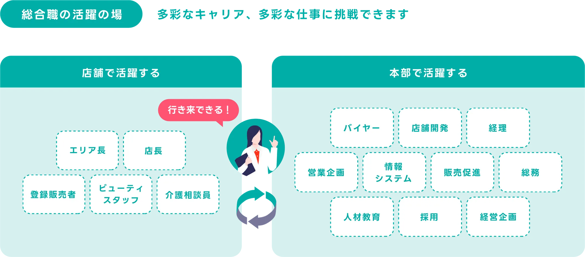 総合職の活躍の場。多彩な仕事に挑戦できます。店舗で活躍する。エリアマネージャー、店長、登録販売者、ビューティスタッフ、介護相談員。本部で活躍する。バイヤー、店舗開発、経理、営業企画、情報システム、店舗促進、総務、人材教育、採用、経営企画